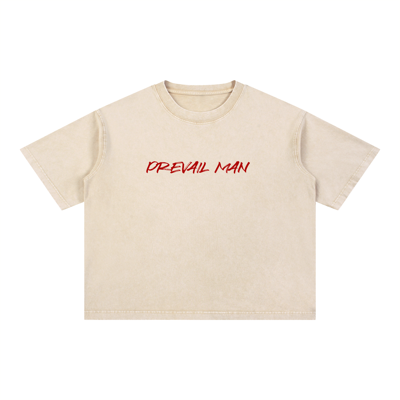 All We Need Is Jesus Tee